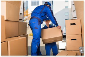 Furniture Removalists